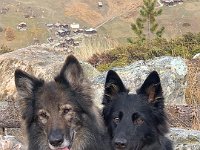 Shani und Gitan